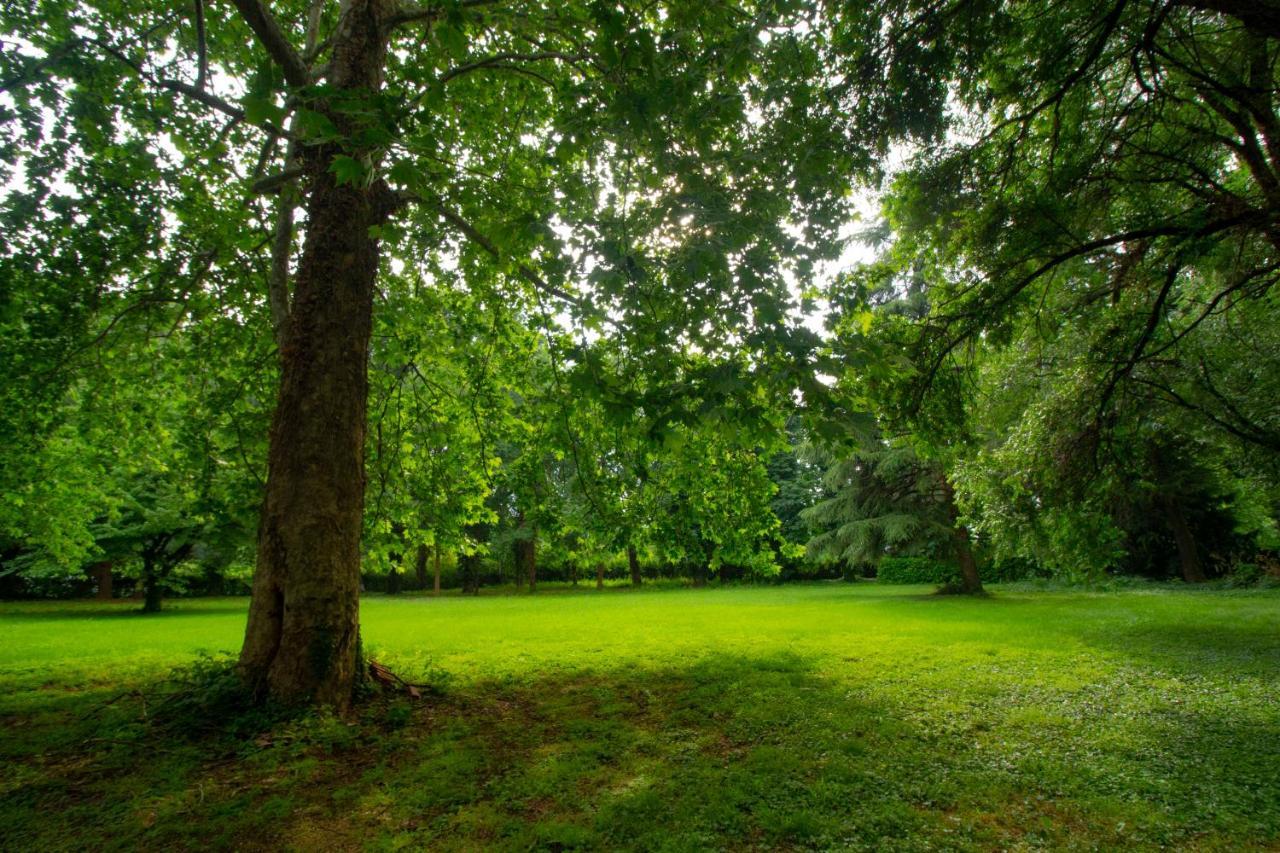 B & B Villa Dell'Usignolo Nerviano ภายนอก รูปภาพ